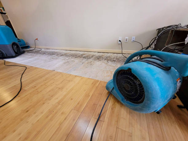 Professional Burst Pipe Water Damage technician working in Harrington Park, NJ